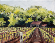 Shed in a Vineyard